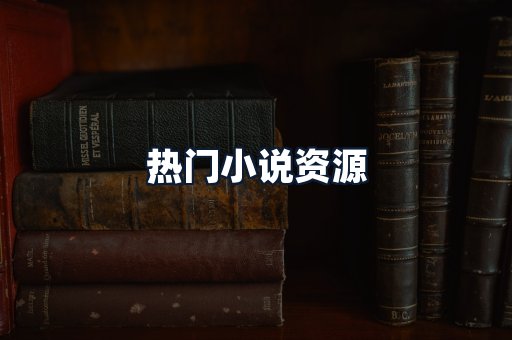 热门小说资源